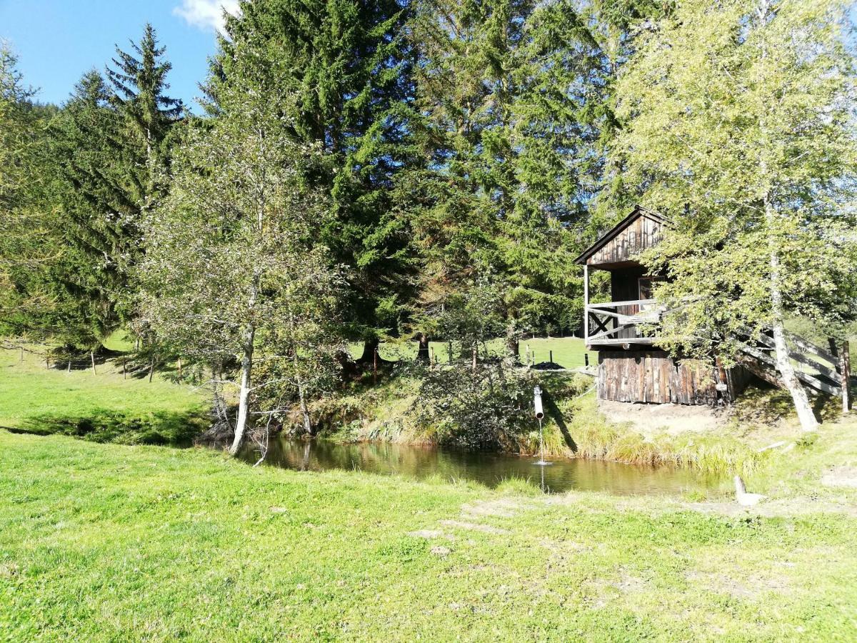 Almland Huette Villa Pusterwald Exterior photo